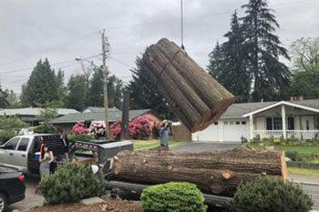 Best Puyallup tree cutting services in WA near 98372