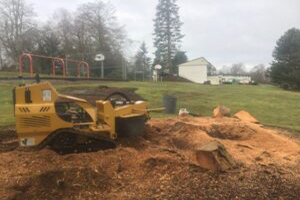 Fort Lewis stump removal since 2001 in WA near 98433