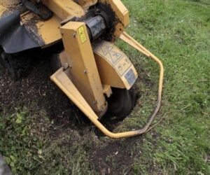 McChord stump removal specialists in WA near 98438