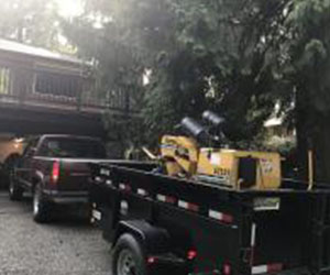 Sumner stump removal specialists in WA near 98390